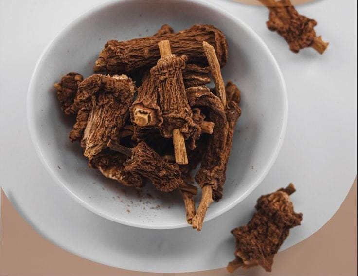 Vanipotent Extract (Indian Sarsaparilla)